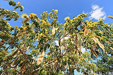 《斗技场的阿利娜》年内登陆主机 Steam获特别好评